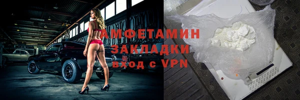 мет Алексин