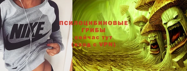 мет Алексин