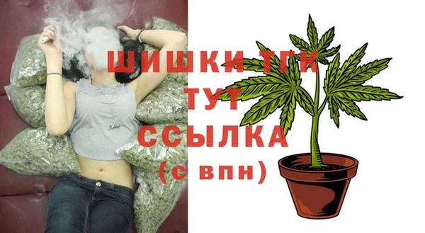 мет Алексин