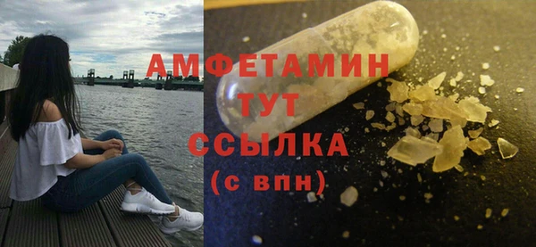 мет Алексин